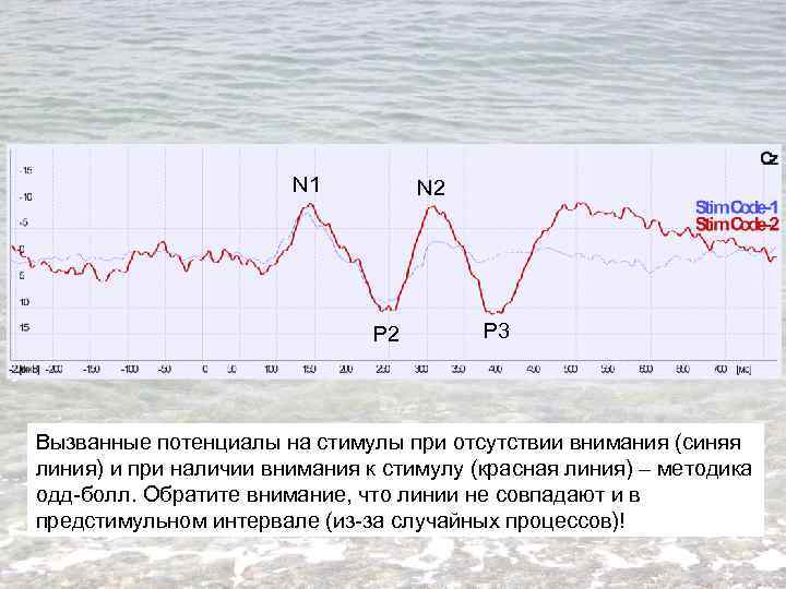 N 1 N 2 P 3 Вызванные потенциалы на стимулы при отсутствии внимания (синяя