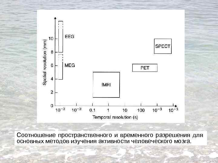 Соотношение пространственного и временного разрешения для основных методов изучения активности человеческого мозга. 