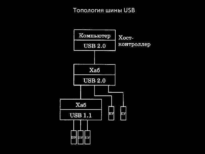 Топология шины USB 