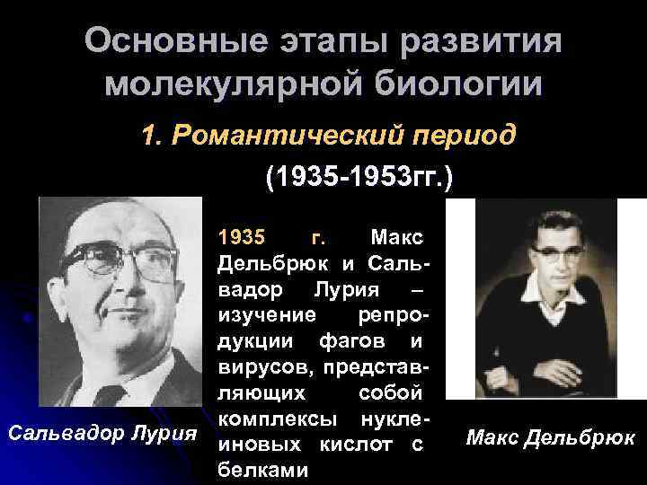 Основные этапы развития молекулярной биологии 1. Романтический период (1935 -1953 гг. ) 1935 г.