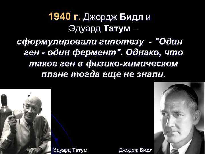 1940 г. Джордж Бидл и Эдуард Татум – сформулировали гипотезу - "Один ген -