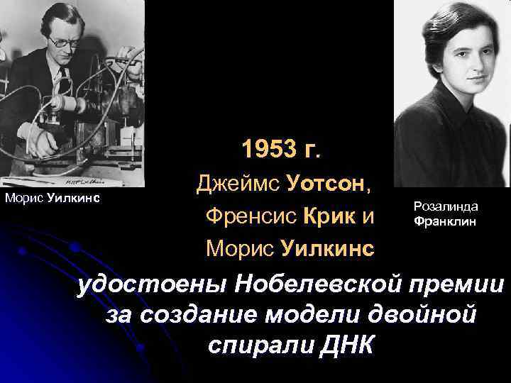 1953 г. Морис Уилкинс Джеймс Уотсон, Френсис Крик и Морис Уилкинс Розалинда Франклин удостоены