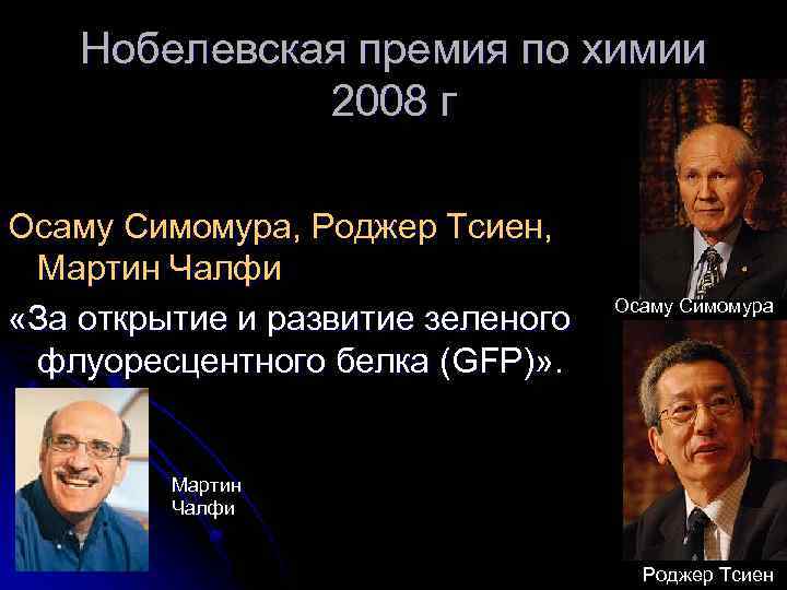 Нобелевская премия по химии 2008 г Осаму Симомура, Роджер Тсиен, Мартин Чалфи «За открытие