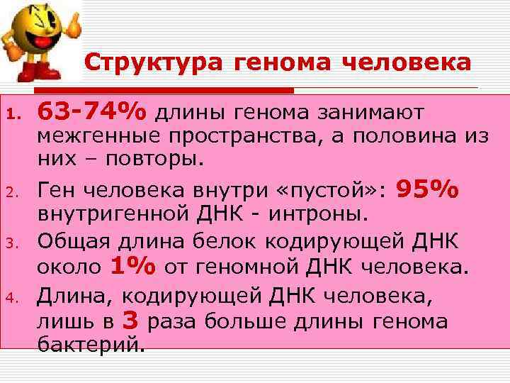 Структура генома человека 1. 2. 3. 4. 63 -74% длины генома занимают межгенные пространства,