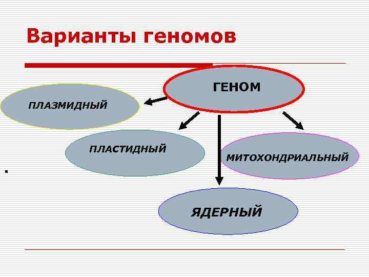 Варианты геномов ГЕНОМ ПЛАЗМИДНЫЙ ПЛАСТИДНЫЙ . МИТОХОНДРИАЛЬНЫЙ ЯДЕРНЫЙ 