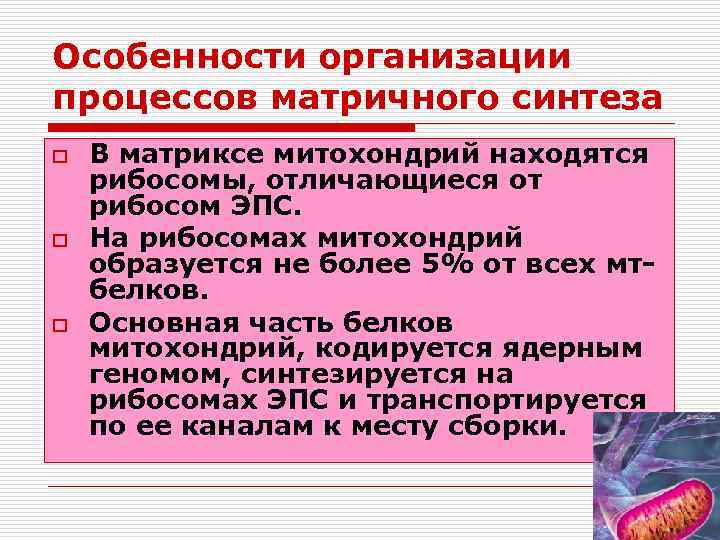 Особенности организации процессов матричного синтеза o o o В матриксе митохондрий находятся рибосомы, отличающиеся