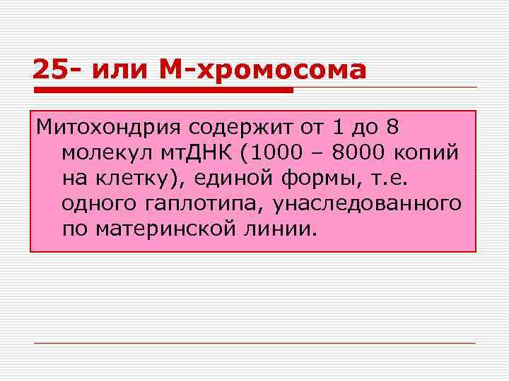 25 - или М-хромосома Митохондрия содержит от 1 до 8 молекул мт. ДНК (1000