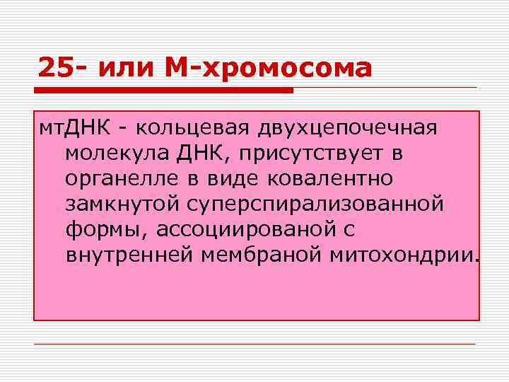 25 - или М-хромосома мт. ДНК - кольцевая двухцепочечная молекула ДНК, присутствует в органелле