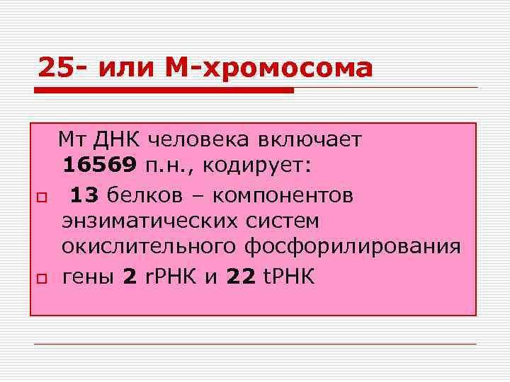 25 - или М-хромосома Мт ДНК человека включает 16569 п. н. , кодирует: o