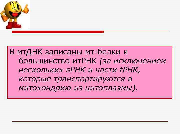В мт. ДНК записаны мт-белки и большинство мт. РНК (за исключением нескольких s. РНК
