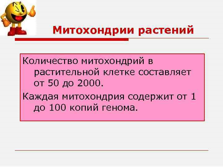 Митохондрии растений Количество митохондрий в растительной клетке составляет от 50 до 2000. Каждая митохондрия