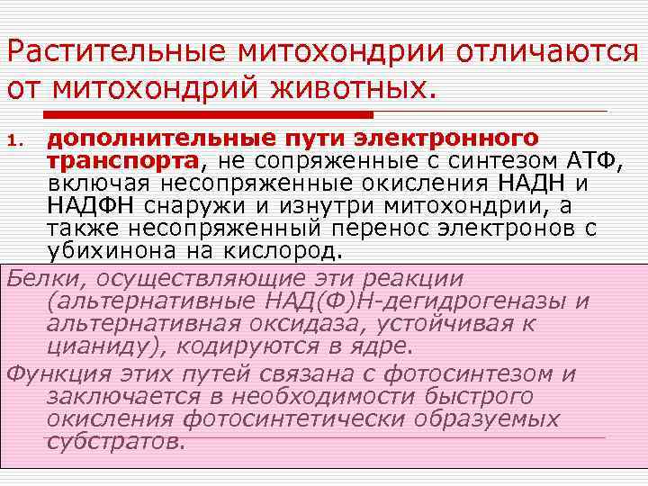 Растительные митохондрии отличаются от митохондрий животных. дополнительные пути электронного транспорта, не сопряженные с синтезом