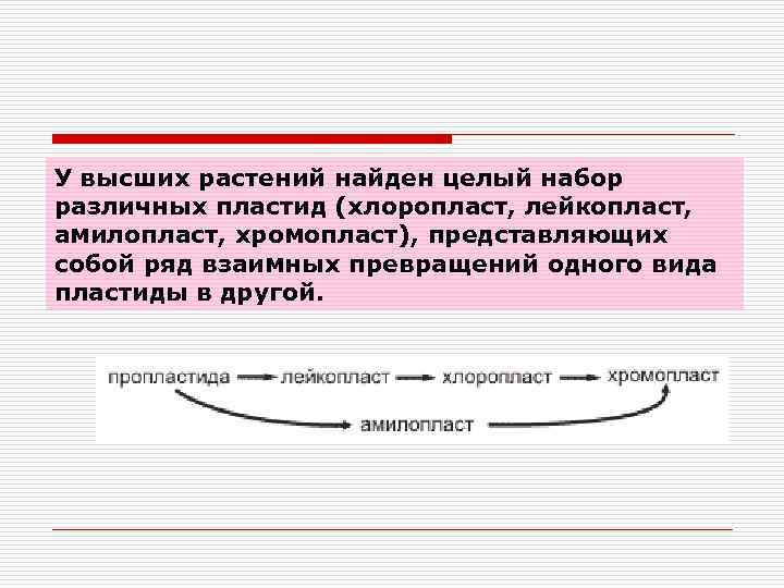 У высших растений найден целый набор различных пластид (хлоропласт, лейкопласт, амилопласт, хромопласт), представляющих собой