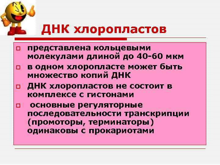 ДНК хлоропластов o o представлена кольцевыми молекулами длиной до 40 -60 мкм в одном
