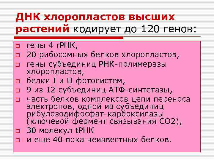 ДНК хлоропластов высших растений кодирует до 120 генов: o o o o гены 4