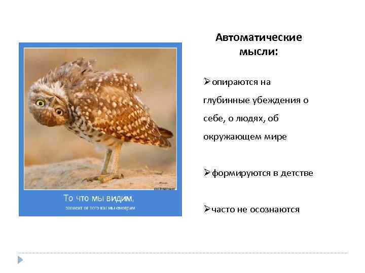 Автоматические мысли: Øопираются на глубинные убеждения о себе, о людях, об окружающем мире Øформируются