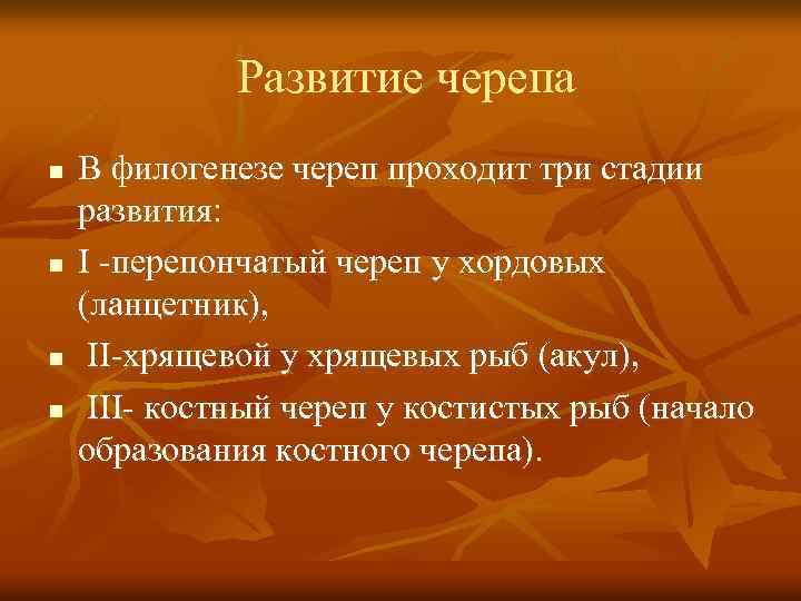 Развитие черепа n n В филогенезе череп проходит три стадии развития: I -перепончатый череп