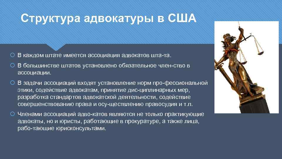 Объединение адвокатов. Структура адвокатуры США. Строение адвокатуры. Состав адвокатуры. Структура современной Российской адвокатуры..