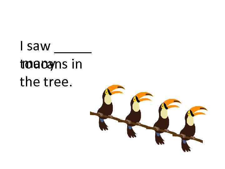 I saw _____ many toucans in the tree. 