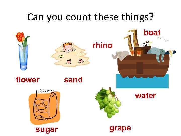 Can you count these things? boat rhino flower sand water sugar grape 