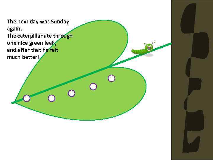 The next day was Sunday again. The caterpillar ate through one nice green leaf