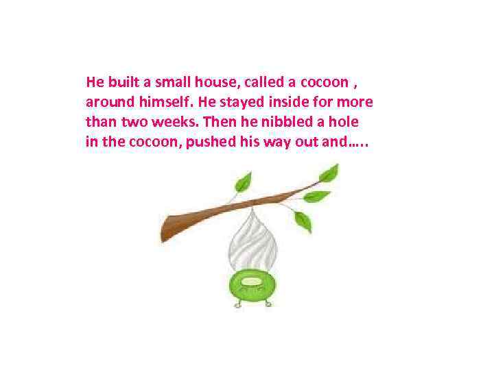 He built a small house, called a cocoon , around himself. He stayed inside