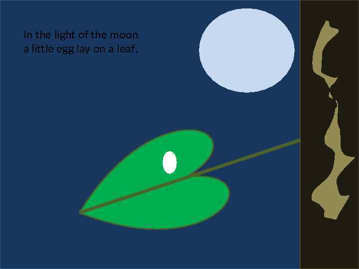 In the light of the moon a little egg lay on a leaf. 