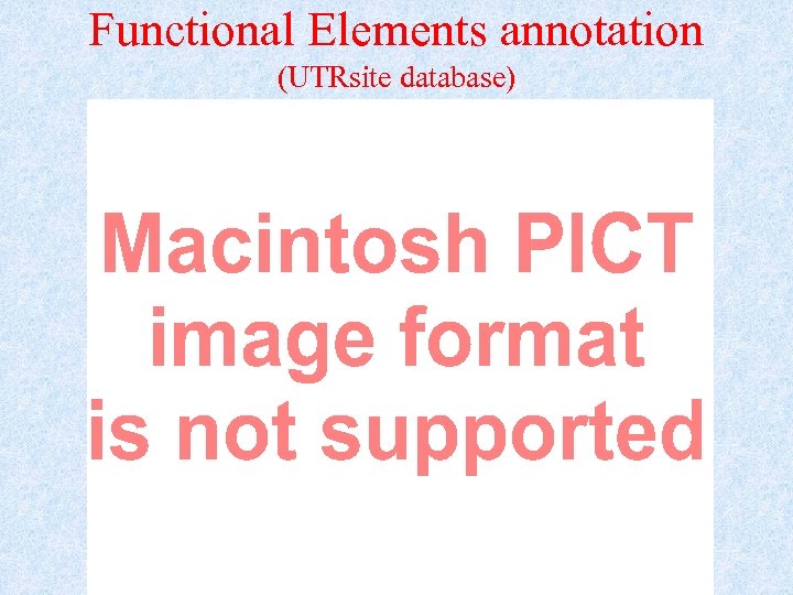 Functional Elements annotation (UTRsite database) 