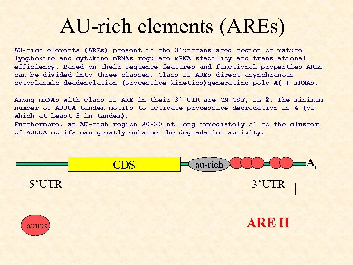 AU-rich elements (AREs) present in the 3'untranslated region of mature lymphokine and cytokine m.