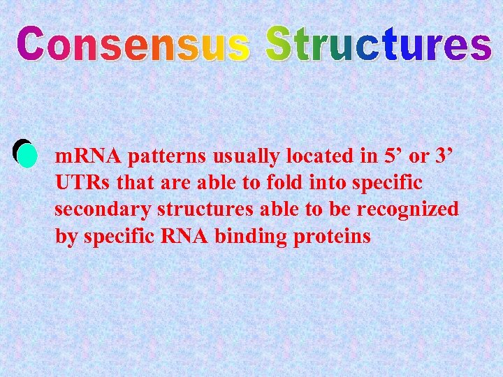 m. RNA patterns usually located in 5’ or 3’ UTRs that are able to
