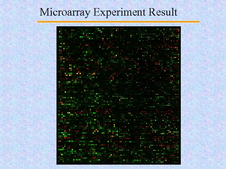 Microarray Experiment Result 