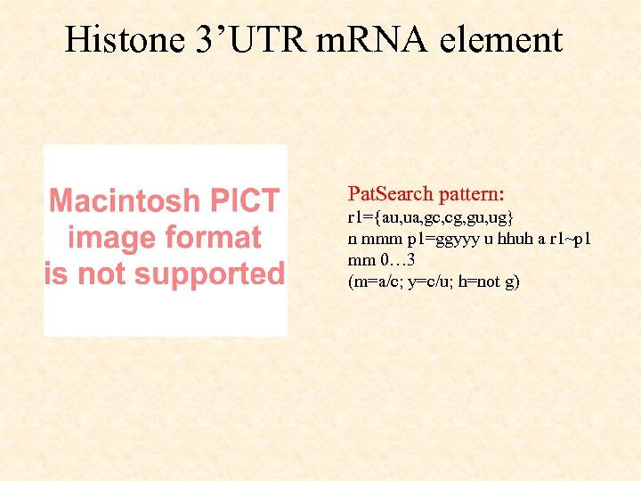 Histone 3’UTR m. RNA element Pat. Search pattern: r 1={au, ua, gc, cg, gu,