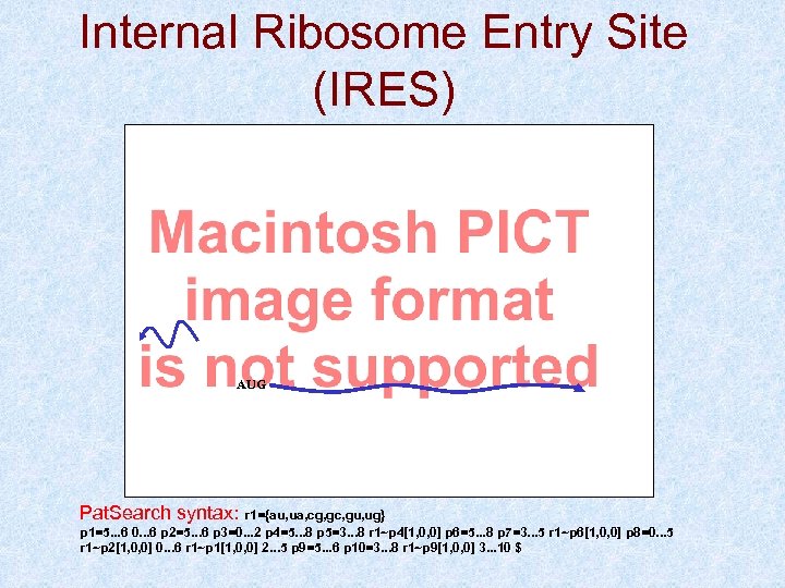 Internal Ribosome Entry Site (IRES) AUG Pat. Search syntax: r 1={au, ua, cg, gc,