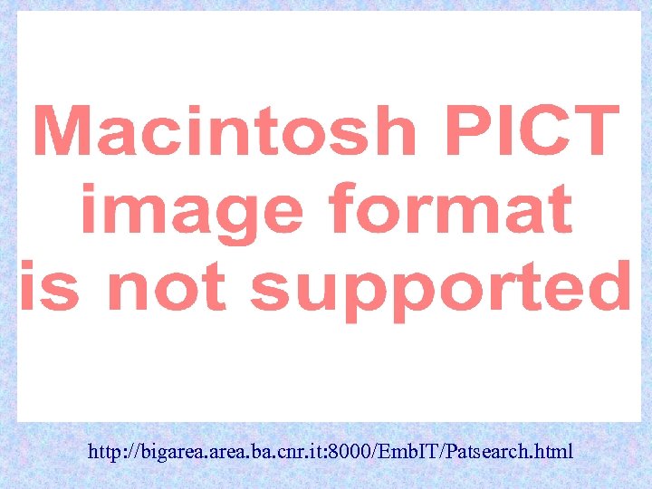 http: //bigarea. ba. cnr. it: 8000/Emb. IT/Patsearch. html 