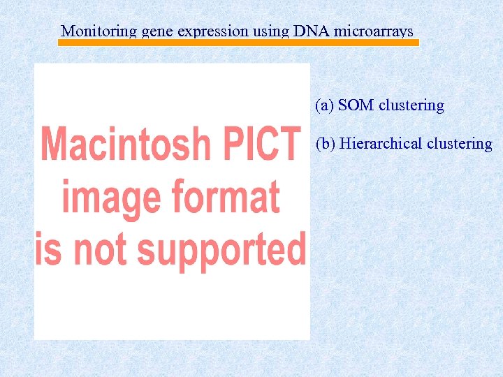 Monitoring gene expression using DNA microarrays (a) SOM clustering (b) Hierarchical clustering 