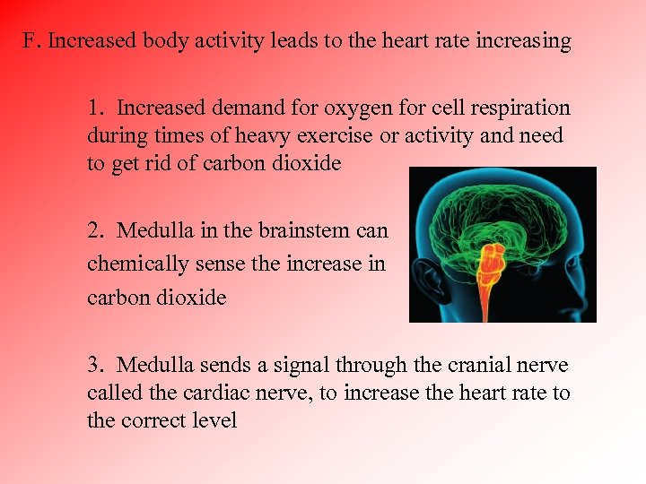 F. Increased body activity leads to the heart rate increasing 1. Increased demand for