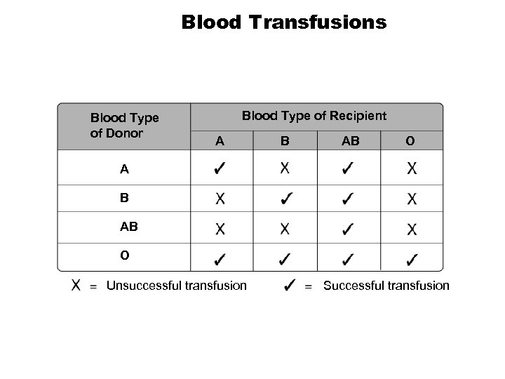 Blood Transfusions Blood Type of Donor Blood Type of Recipient A B AB O