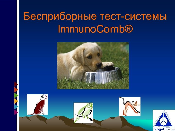 Бесприборные тест-системы Immuno. Comb® 