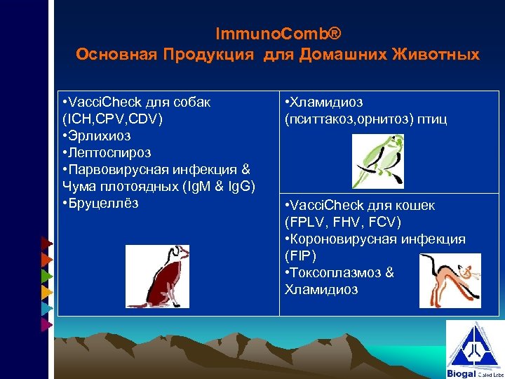 Immuno. Comb® Основная Продукция для Домашних Животных • Vacci. Check для собак (ICH, CPV,