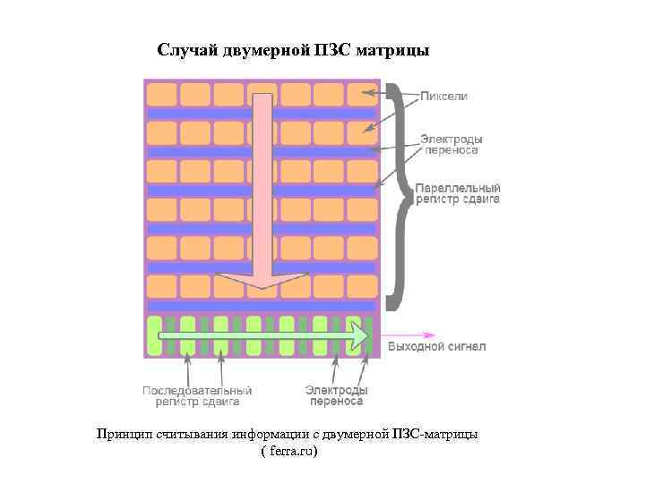 Случай двумерной ПЗС матрицы Принцип считывания информации с двумерной ПЗС-матрицы ( ferra. ru) 