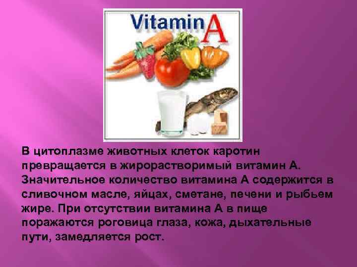 Витамин а (каротин) содержится. Роль каротина в организме человека. Презентация на тему жирорастворимые витамины. Роль витаминов в питании животных.