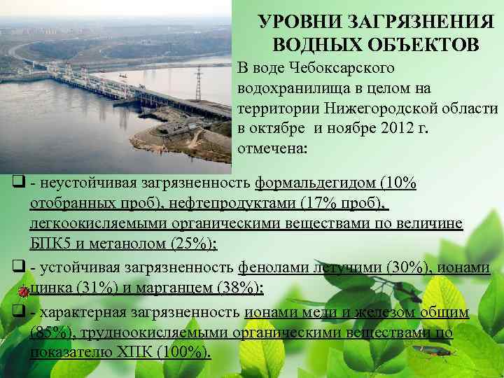 УРОВНИ ЗАГРЯЗНЕНИЯ ВОДНЫХ ОБЪЕКТОВ В воде Чебоксарского водохранилища в целом на территории Нижегородской области