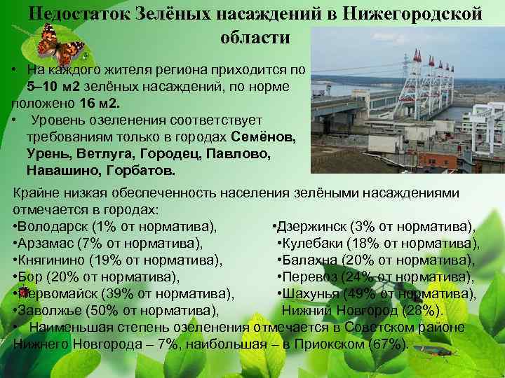 Недостаток Зелёных насаждений в Нижегородской области • На каждого жителя региона приходится по 5–