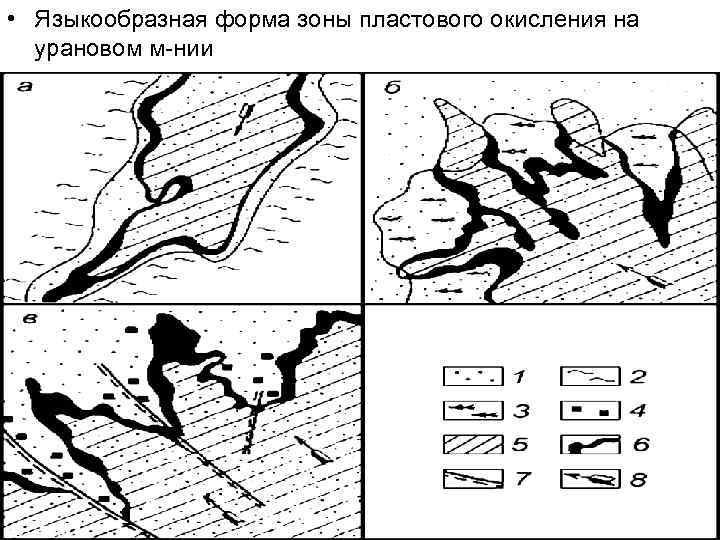  • Языкообразная форма зоны пластового окисления на урановом м-нии 