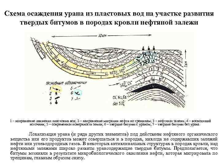 Схема осаждения урана из пластовых вод на участке развития твердых битумов в породах кровли