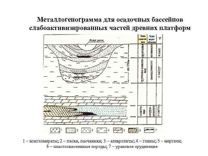 Металлогенограмма для осадочных бассейнов слабоактивизированных частей древних платформ 1 – конгломераты; 2 – пески,