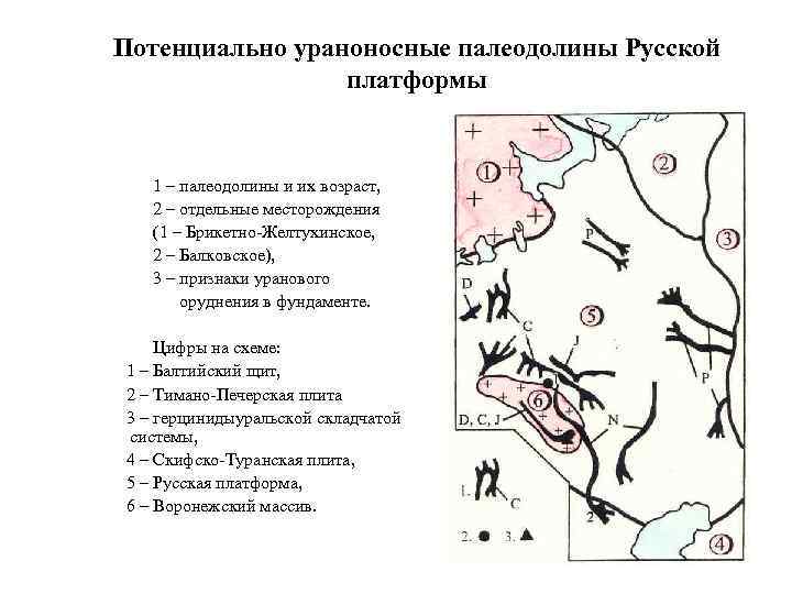 Потенциально ураноносные палеодолины Русской платформы 1 – палеодолины и их возраст, 2 – отдельные