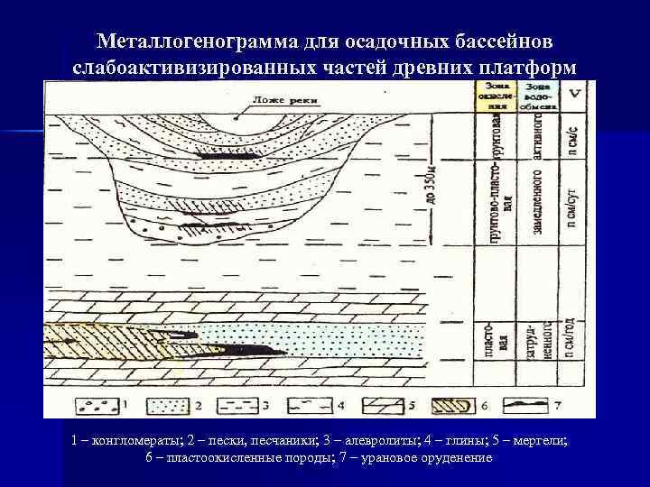 Какая геологическая структура. Осадочный бассейн. Месторождения осадочных пород. Разрез осадочного бассейна. Механические осадочные месторождения.