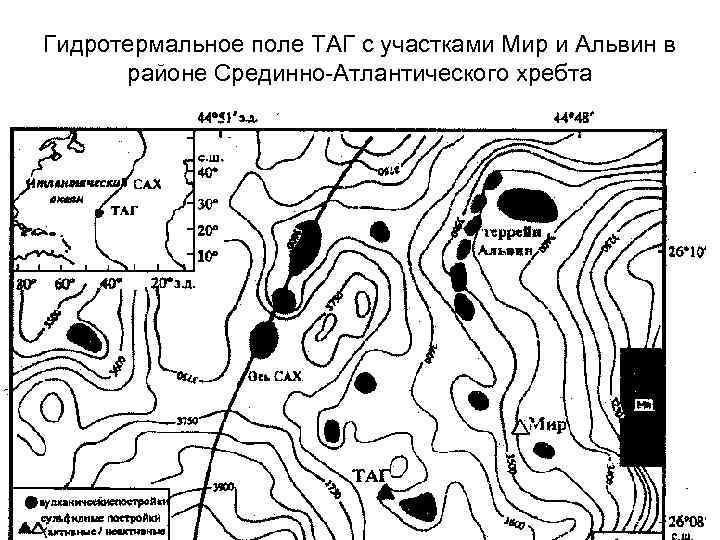 Гидротермальное поле ТАГ с участками Мир и Альвин в районе Срединно-Атлантического хребта 