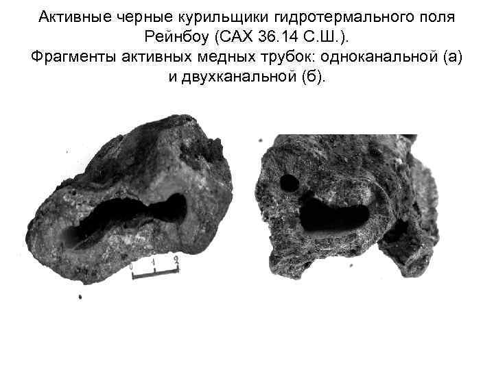 Активные черные курильщики гидротермального поля Рейнбоу (САХ 36. 14 С. Ш. ). Фрагменты активных